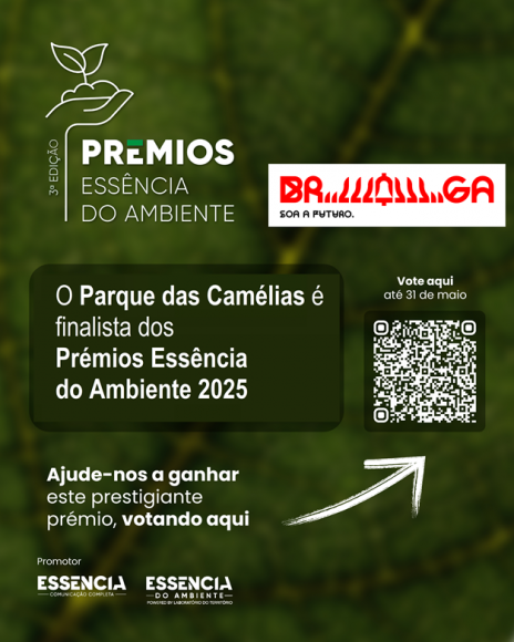 Prémios Essência do Ambiente 2025! Voto do Público